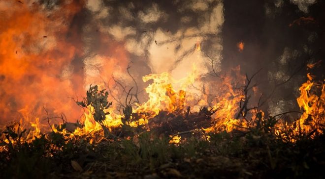 Od 17. julija razglašena velika požarna ogroženost naravnega okolja